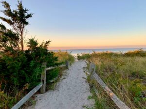 Cape Cod Beard Balm
